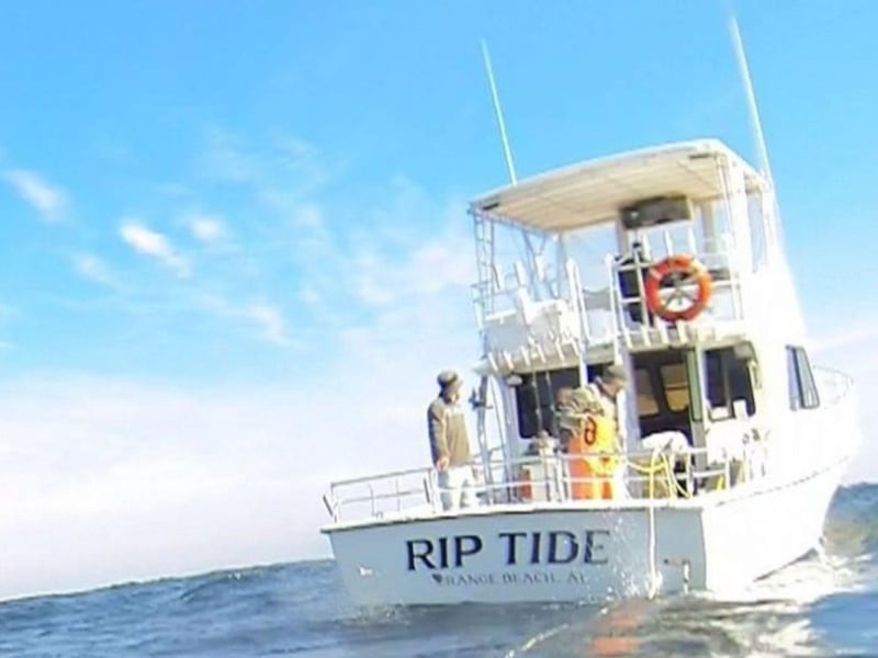 425155 Untitled Design 6